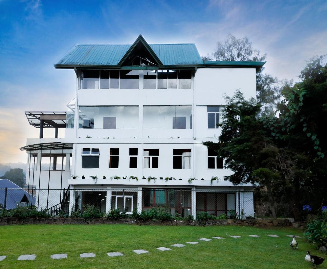 Tea Mount Forest Nuwara Eliya Dış mekan fotoğraf