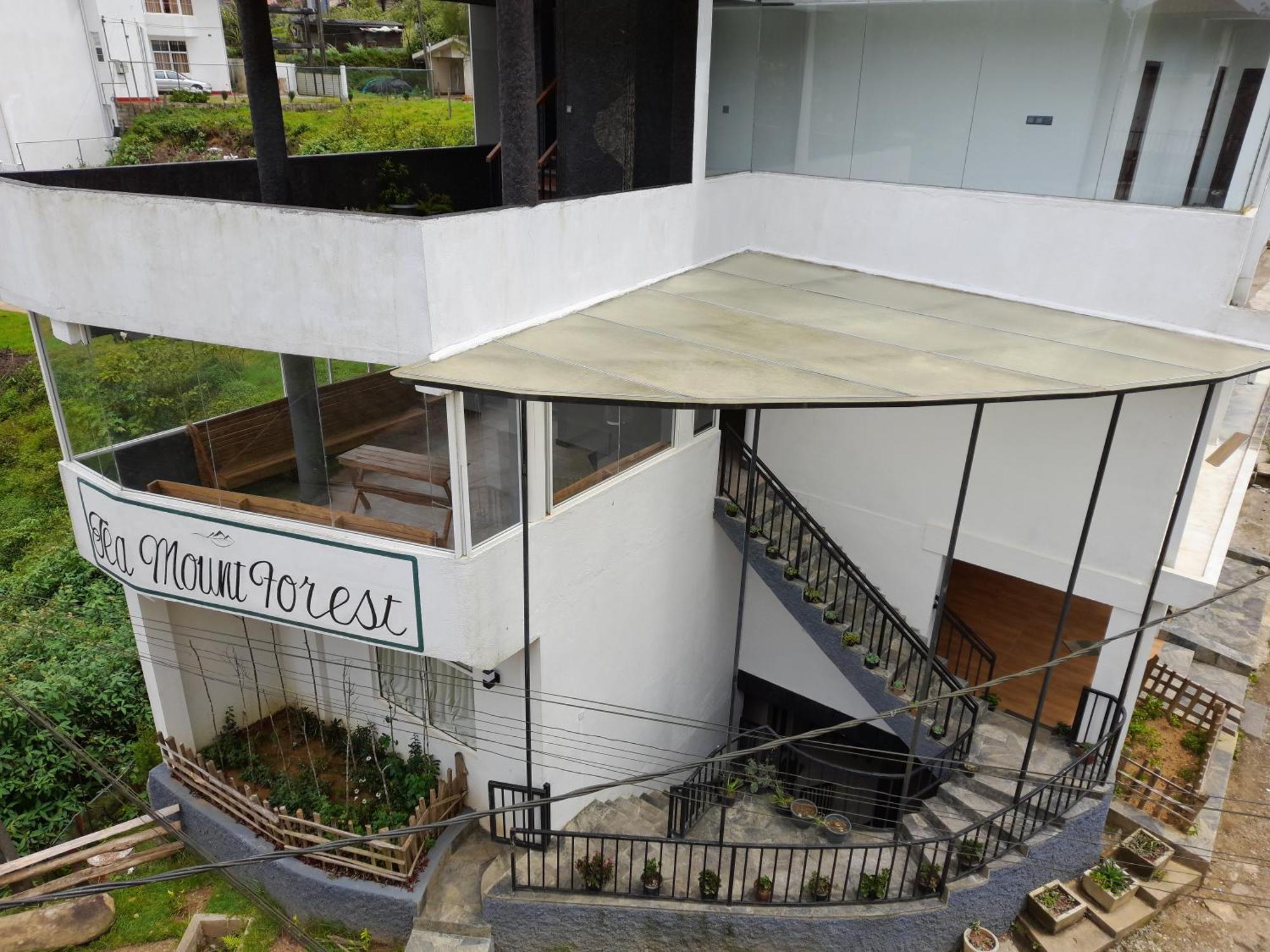 Tea Mount Forest Nuwara Eliya Dış mekan fotoğraf